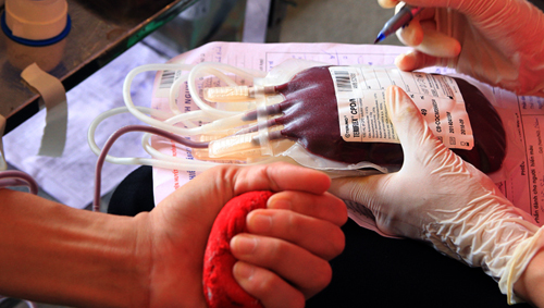 “Viaje rojo – 2014” con 48 mil plasmas de sangre recolectadas